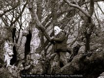 The Old Man In The Tree by Colin Beard, Northfields