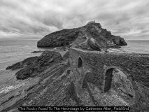 The Rocky Road To The Hermitage by Catherine Allen, Field End
