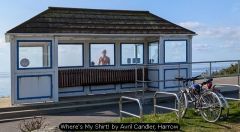 Where's My Shirt! by Avril Candler, Harrow