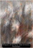 Whispers Of Spring by Juliet Ormiston, Amersham