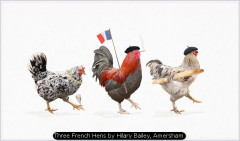 Three French Hens by Hilary Bailey, Amersham