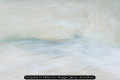 Tranquility In Motion by Maggie James, Amersham