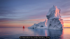 Juxtaposition by Linda Sanders, Tring