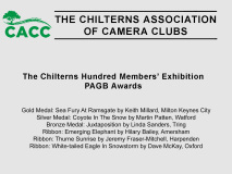 (3) awards