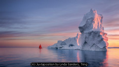 (6) Juxtaposition by Linda Sanders, Tring