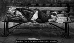 Another Day In Paradise by Bob Collis, Woodley