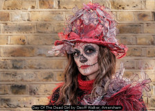 Day Of The Dead Girl by Geoff Walker, Amersham