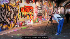 Focused by Sue Brown, Imagez