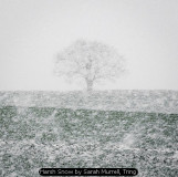 Harsh Snow by Sarah Murrell, Tring