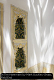 In The Hammam by Mark Buckley-Sharp, Field End