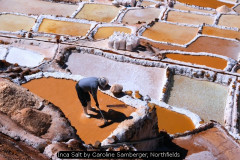 Inca Salt by Caroline Samberger, Northfields