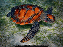 Mock Turtle by Chris Warby, Leighton Buzzard