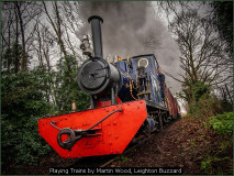 Playing Trains by Martin Wood, Leighton Buzzard
