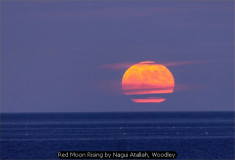 Red Moon Rising by Nagui Atallah, Woodley