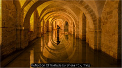 Reflection Of Solitude by Sheila Fox, Tring