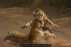 Right Hook by Clive Burns, Harpenden