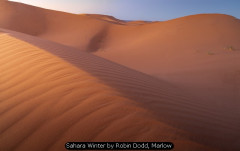 Sahara Winter by Robin Dodd, Marlow