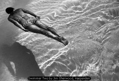Swimmer Two by Jim Sherwood, Harpenden