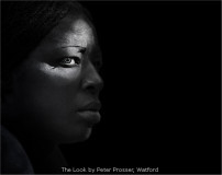 The Look by Peter Prosser, Watford