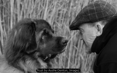 Trust by Ayshe Denton, Imagez