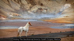 Visiting The Geothermal Area by Sarah Cooper, Marlow