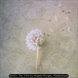 What's The Time by Angela Morgan, Maidenhead