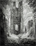 Wild Ruin by Kathy Chantler, Imagez
