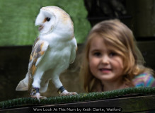 Wow Look At This Mum by Keith Clarke, Watford