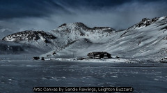 Artic Canvas by Sandie Rawlings, Leighton Buzzard