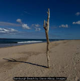 Bamburgh Beach by Steve Allsop, Imagez