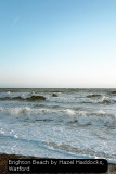 Brighton Beach by Hazel Haddocks, Watford