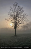 Frosty Morn by David Jones, Imagez