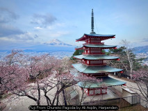 Fuji From Chureito Pagoda by Ali Asplin, Harpenden