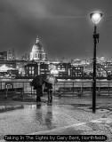Taking In The Sights by Gary Bent, Northfields
