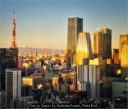Tokyo Dawn by Belinda Ewart, Field End