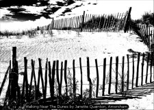 Walking Near The Dunes by Janette Quainton, Amersham