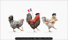 Three French Hens by Hilary Bailey, Amersham